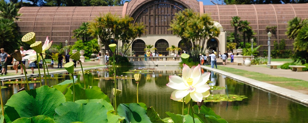 Balboa Park, San Diego